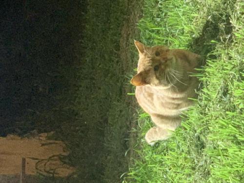 6b29bfecdeb51b09ea20a22de5c7987