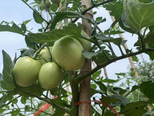 6e33e444550c5c51dea83282faf0182