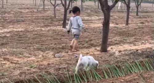 b8a6bf9c3c3a17d76b636c37dc9a7ef