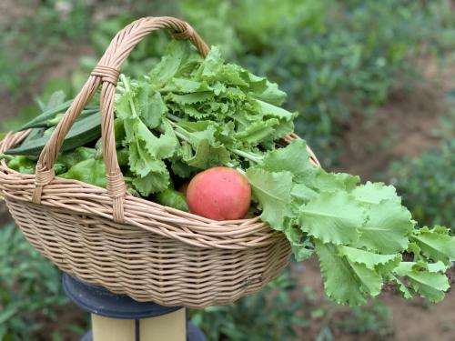 c22e5d1c6d75cf0ae3b2f0e4e381e35