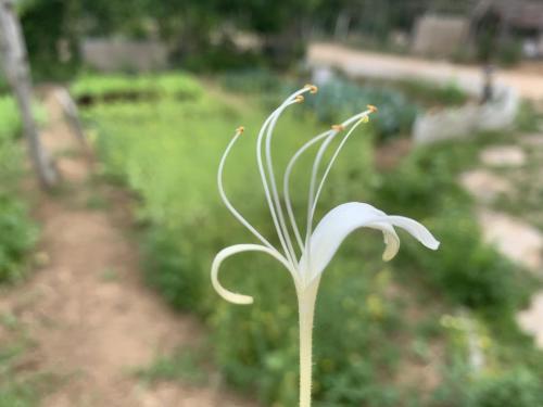 c4d0b6728be0d2ca5c83e8819c0e270